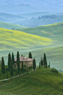 The Belvedere or beautiful view is seen from a hill near the town of San Quirico d'Orcia by Danita Delimont