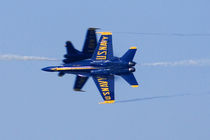 Blue Angels perform knife-edge pass during 2006 Fleet Week airshow in San Francisco von Danita Delimont