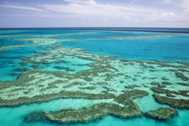 Aerial of the Great Barrier Reef by the Whitsunday Coast by Danita Delimont