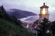 A foggy day on the Oregon coast at the Heceta Head Lighthouse von Danita Delimont