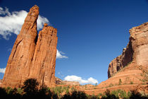 View of Spider Rock from the canyon floor von Danita Delimont