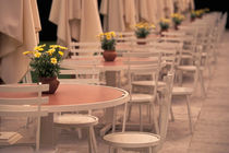 Cafe tables in Chateau Park von Danita Delimont