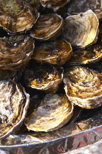 A plate of oysters von Danita Delimont