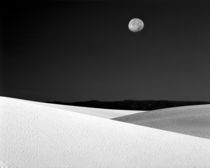 Nighttime with full moon over the desert (black and white) by Danita Delimont