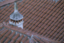 Chimney and red tile roof detail by Danita Delimont