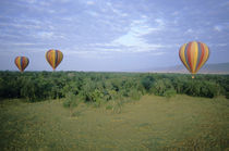 Tourists ride hot-air balloons at dawn by Danita Delimont