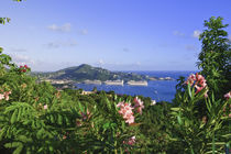 Charlotte Amalie by Danita Delimont