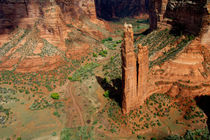 Spider Rock Overlook von Danita Delimont