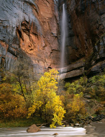 Colorado Plateau by Danita Delimont