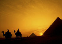 Egypt at sunset by Danita Delimont