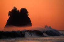 Sea stack and mist over waves at sunset on Second Beach by Danita Delimont