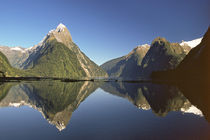 Fiordland by Danita Delimont