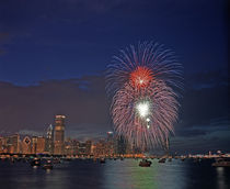 Fourth of July fireworks over Monroe Harbor by Danita Delimont