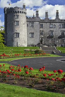 View of Kilkenny Castle von Danita Delimont