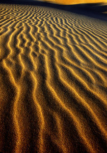 Dune pattern abstract by Danita Delimont