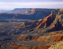 View into Grand Canyon National Park from Twin Point by Danita Delimont