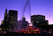 Sears Tower and the skyline von Danita Delimont