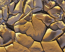 Mud Cracks in Death Valley National Park in California by Danita Delimont
