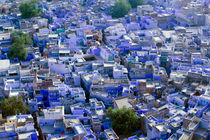 Jodhpur: Blue City of Jodhpur seen from Meherangarh Fort by Danita Delimont