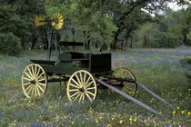 Old wagon and wildflowers by Danita Delimont
