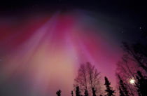 Red and green Northern Lights above central Alaska von Danita Delimont