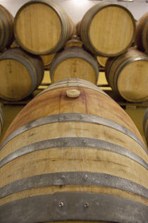 Typical oak wine barrels in cellar von Danita Delimont