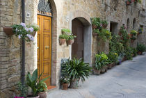 Flower pots and potted plants decorate a narrow street in a Tuscany village von Danita Delimont