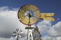 America Windmill MuseumEarly American Windmills von Danita Delimont