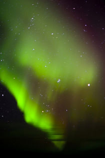 Aurora Borealis in the night sky von Danita Delimont