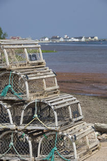 Lobster traps von Danita Delimont