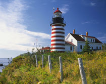 West Quoddy Head Lighthouse on the easternmost point of the United States mainland by Danita Delimont