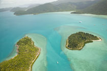 Aerial View above the Whitsunday Islands von Danita Delimont