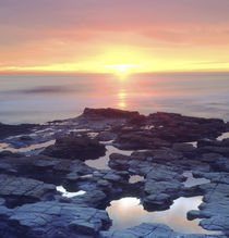 Sunset Cliffs tide pools on the Pacific Ocean reflecting the sunset by Danita Delimont