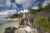 Anse Source D'Argent beach by Danita Delimont