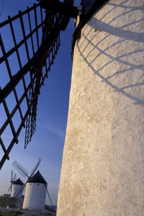Windmills by Danita Delimont