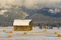 Rustic barn and hay bales after a fresh snow in the Mission Valley of Montana by Danita Delimont