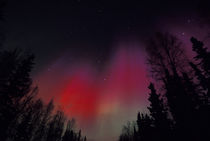 Red and green Northern Lights above central Alaska by Danita Delimont