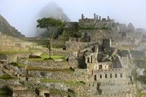 The ancient citadel of Machu Picchu cloaked in mist by Danita Delimont