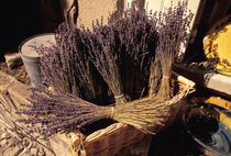 Dried lavender bunches for sale von Danita Delimont