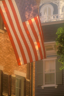 US flag by Danita Delimont