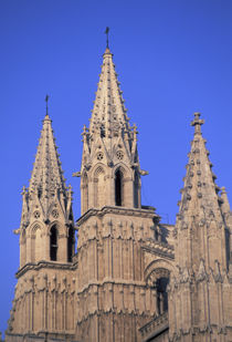 Palma Cathedral by Danita Delimont