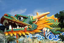 Famous Dragon at Haw Par Villa in Singapore Asia by Danita Delimont