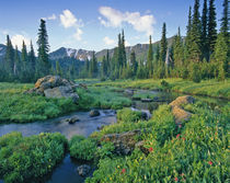 Picnic Creek in the Jewel Basin of the Swan mountain Range in Montana by Danita Delimont