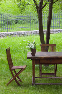 Spodnja Idrija: Table on Grounds of 14th Century Hotel Kendov Dvorec von Danita Delimont