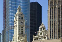 IBM Building and Tribune Tower by Danita Delimont