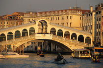 Canal Grande and Rialto Bridge by Danita Delimont