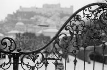 View of the Old City and castle from Mirabellgarten by Danita Delimont