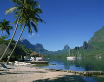 French Polynesia von Danita Delimont