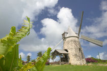 Working windmill built in 1814 von Danita Delimont