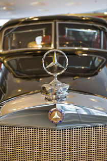 Detail of Mercedes star hood ornament by Danita Delimont